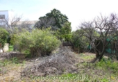 Sòl urbà en venda a Algodonales ref.: TR253513 foto