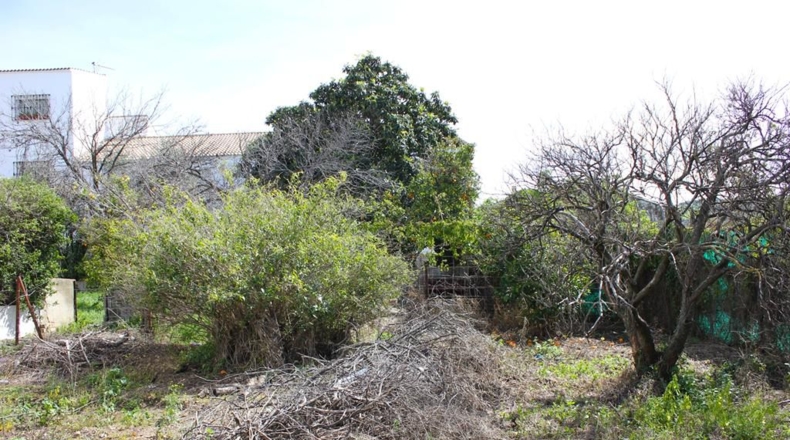 Cádiz - Algodonales - 1306m2