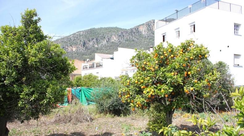 Cádiz - Algodonales - 1306m2