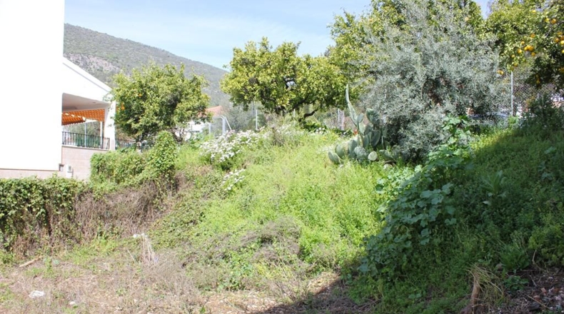 Cádiz - Algodonales - 1306m2