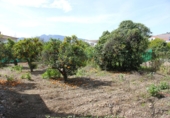 Sòl urbà en venda a Algodonales ref.: TR253513 foto