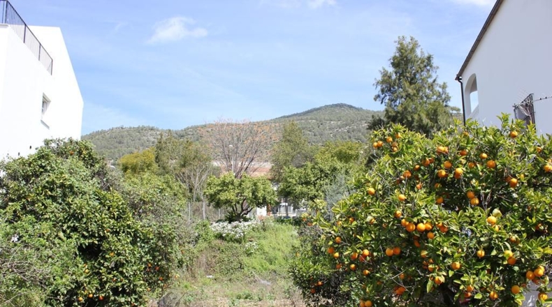 Cádiz - Algodonales - 1306m2