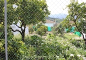 Sòl urbà en venda a Algodonales ref.: TR253513 foto