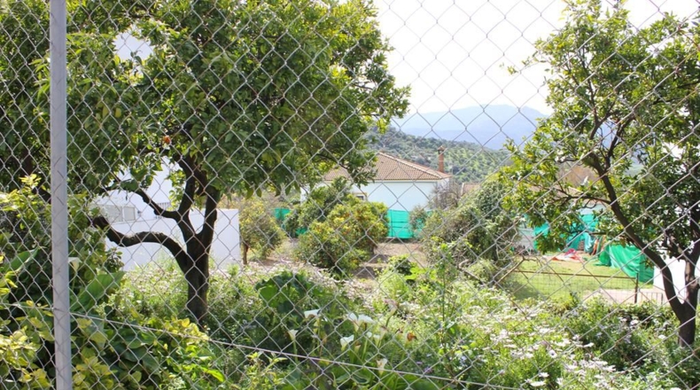 Cádiz - Algodonales - 1306m2
