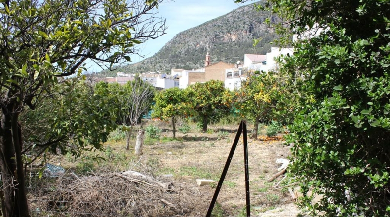 Cádiz - Algodonales - 1306m2
