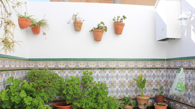 Cádiz - Algodonales - 245m2