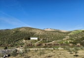 Finca rústica en venda a Ronda ref.: TR279545 foto