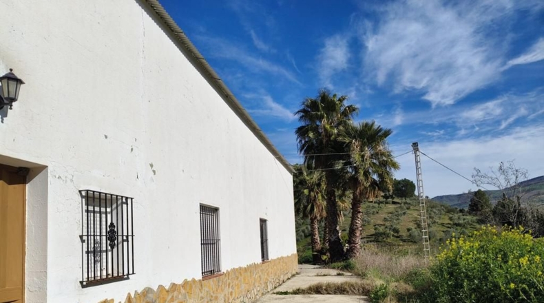 Málaga - Ronda - 128635m2