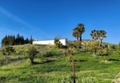 Finca rústica en venda a Ronda ref.: TR279545 foto