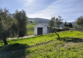 Finca rústica en venda a Ronda ref.: TR279545 foto