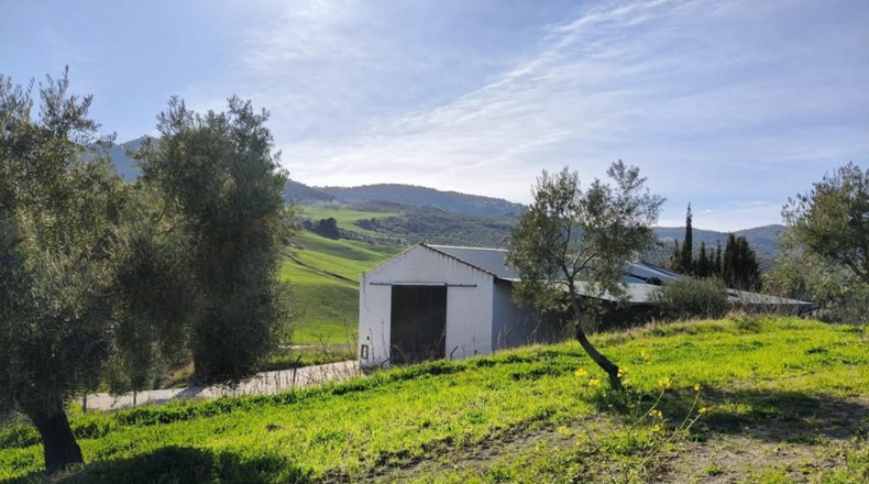Málaga - Ronda - 128635m2