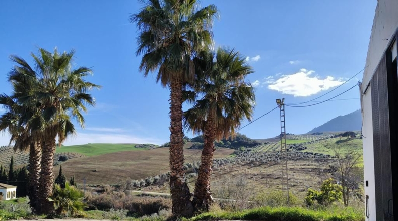 Málaga - Ronda - 128635m2