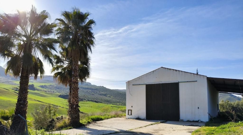 Málaga - Ronda - 128635m2