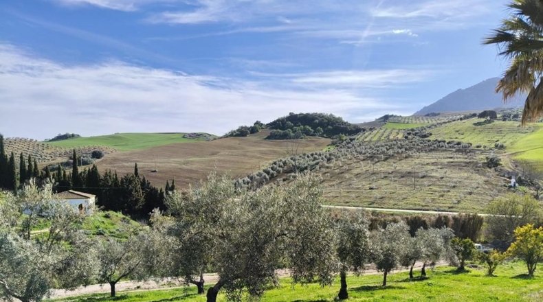 Málaga - Ronda - 128635m2