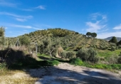 Finca rústica en venda a Ronda ref.: TR279545 foto