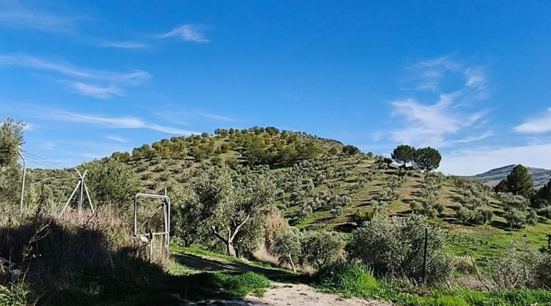 Málaga - Ronda - 128635m2