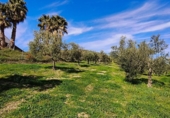 Finca rústica en venda a Ronda ref.: TR279545 foto