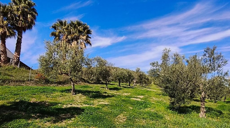 Málaga - Ronda - 128635m2