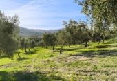 Finca rústica en venda a Ronda ref.: TR279545 foto