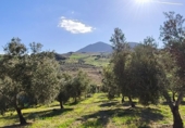 Finca rústica en venda a Ronda ref.: TR279545 foto