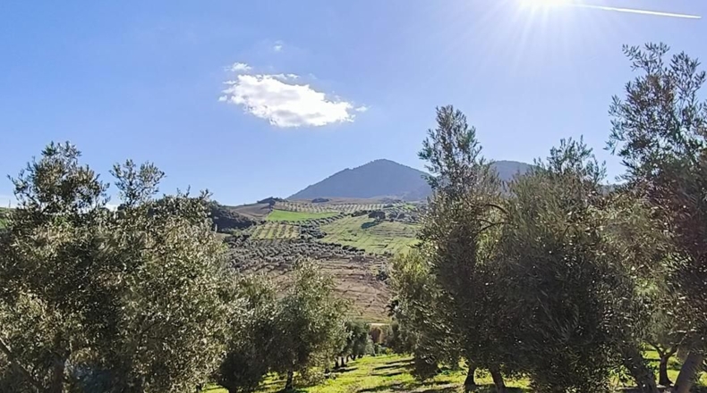 Málaga - Ronda - 128635m2