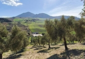 Finca rústica en venda a Ronda ref.: TR279545 foto