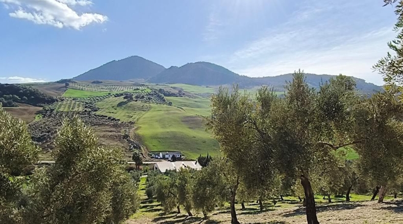 Málaga - Ronda - 128635m2