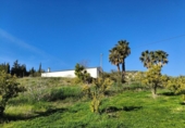 Finca rústica en venda a Ronda ref.: TR279545 foto