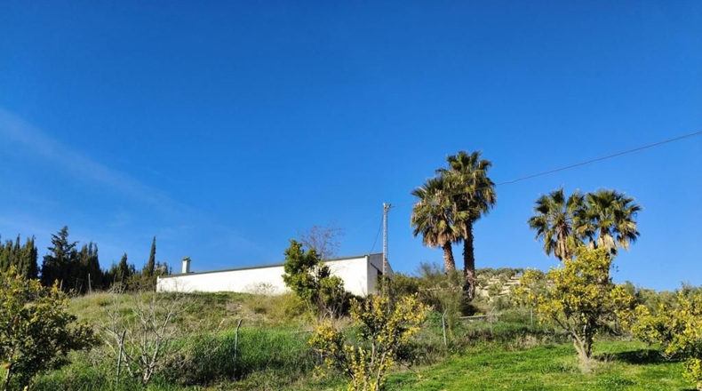 Málaga - Ronda - 128635m2
