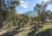 Finca rústica en venda a Ronda ref.: TR279545 foto