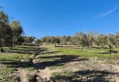 Finca rústica en venda a Ronda ref.: TR279545 foto
