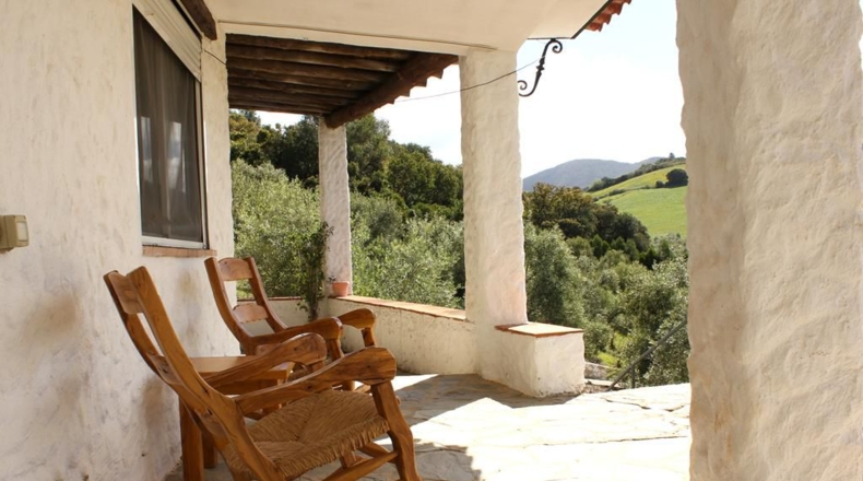 Cádiz - Algodonales - 62260m2