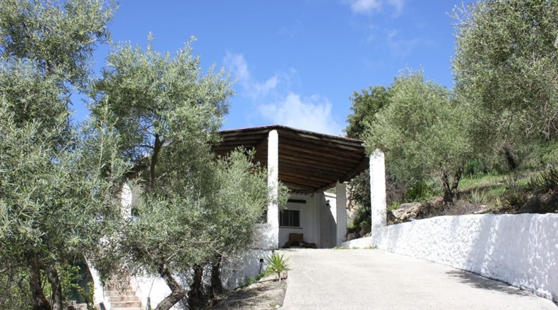 Cádiz - Algodonales - 62260m2