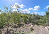 Casa de camp amb terreny en venda a Algodonales ref.: TR253514 foto