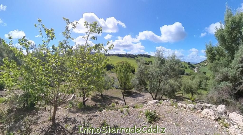 Cádiz - Algodonales - 62260m2