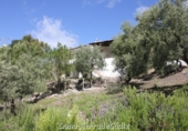 Casa de camp amb terreny en venda a Algodonales ref.: TR253514 foto