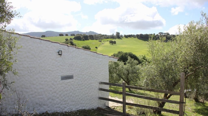 Cádiz - Algodonales - 62260m2