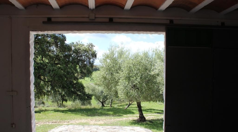 Cádiz - Algodonales - 62260m2