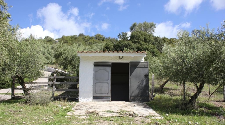 Cádiz - Algodonales - 62260m2