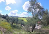 Casa de camp amb terreny en venda a Algodonales ref.: TR253514 foto