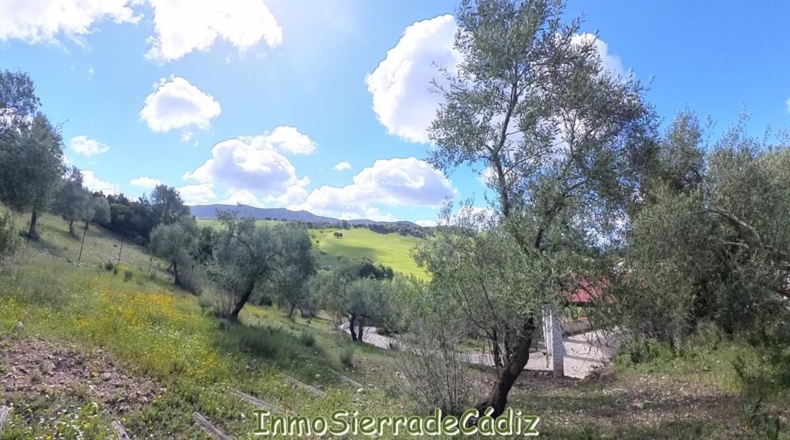 Cádiz - Algodonales - 62260m2