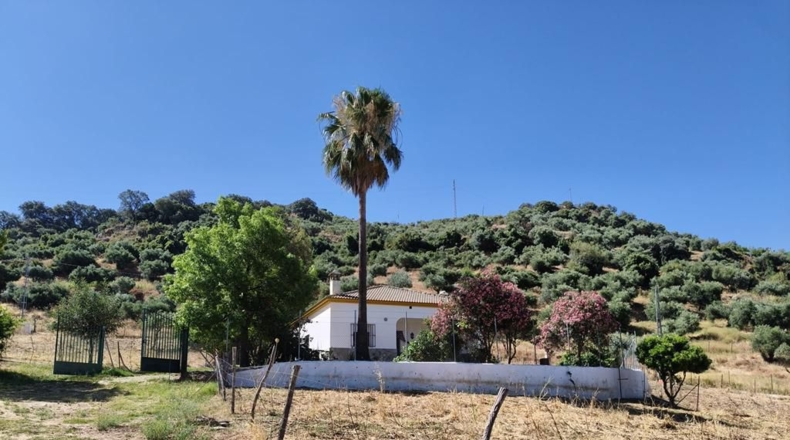 Cádiz - Algodonales - 30300m2