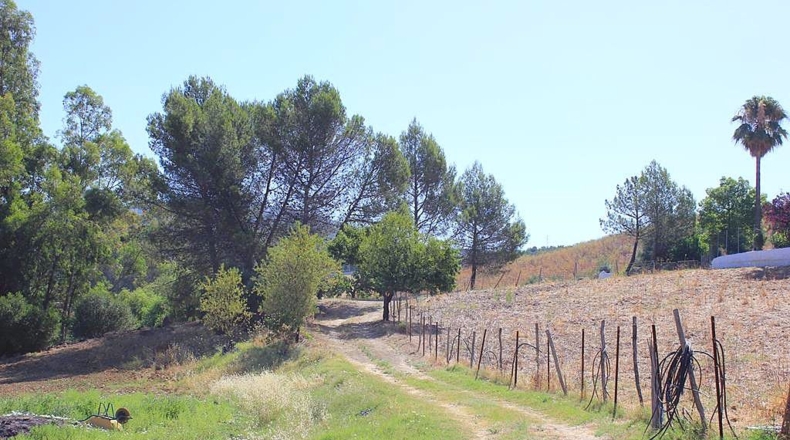 Cádiz - Algodonales - 30300m2