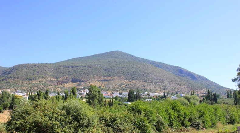 Cádiz - Algodonales - 30300m2