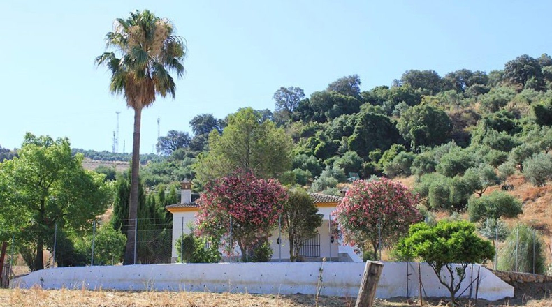 Cádiz - Algodonales - 30300m2