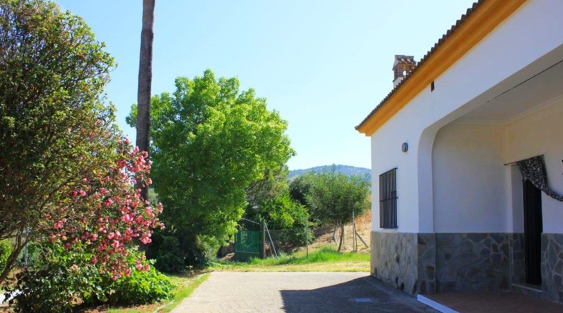 Cádiz - Algodonales - 30300m2