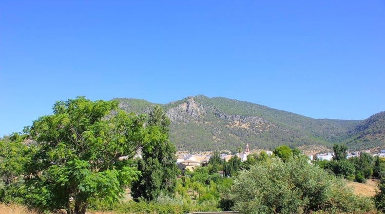 Cádiz - Algodonales - 30300m2
