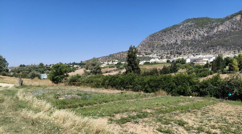 Cádiz - Algodonales - 30300m2