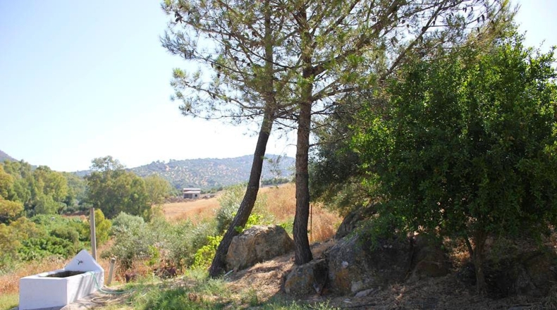 Cádiz - Algodonales - 30300m2
