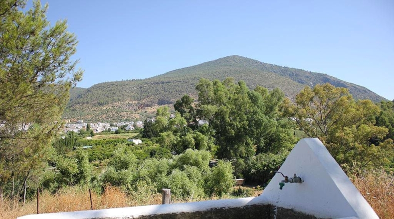 Cádiz - Algodonales - 30300m2